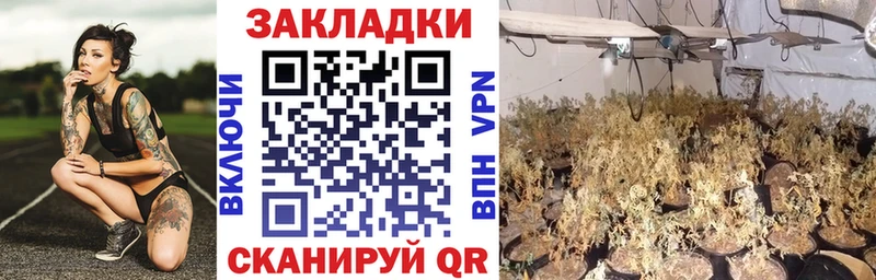 Какие есть наркотики Тарко-Сале СК  МАРИХУАНА  МЕФ  ГАШИШ  COCAIN 