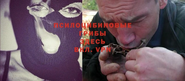 apvp Балахна