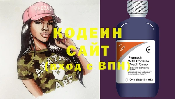 индика Баксан