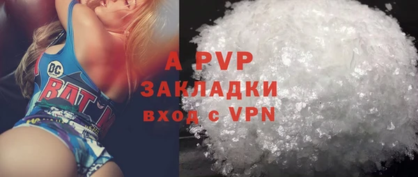индика Баксан