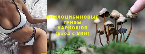 индика Баксан