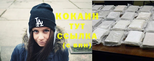 индика Баксан
