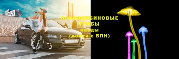 индика Баксан
