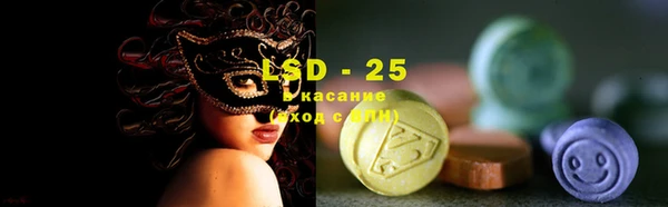 индика Баксан