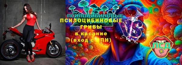 apvp Балахна