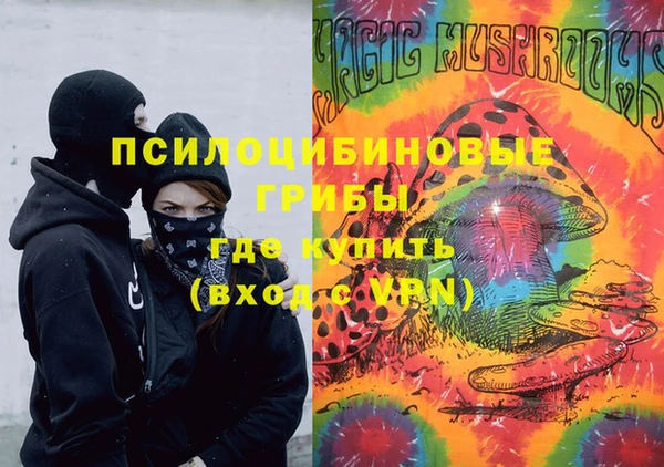 apvp Балахна