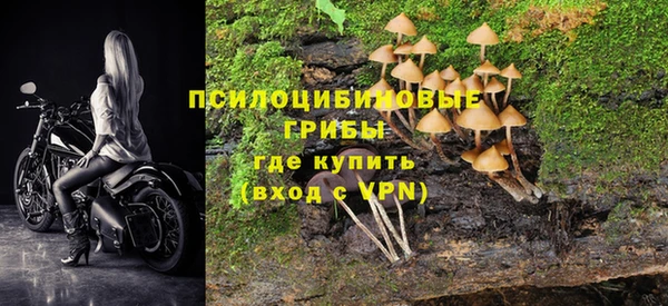 apvp Балахна