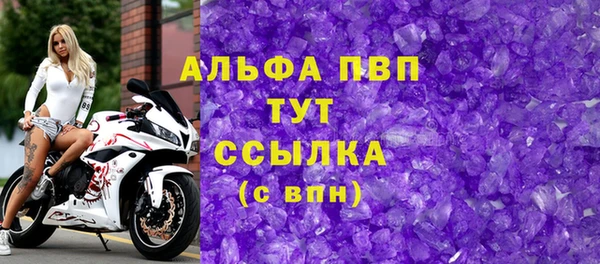 индика Баксан